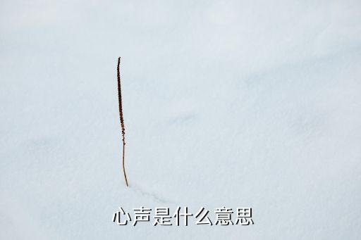  心声是什么意思