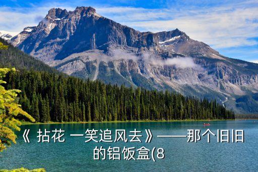 《 拈花 一笑追风去》——那个旧旧的铝饭盒(8