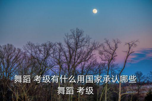  舞蹈 考级有什么用国家承认哪些 舞蹈 考级