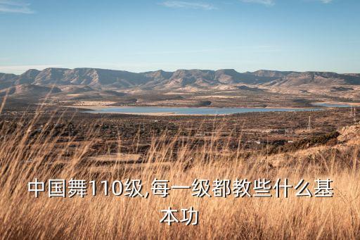 丁字位舞蹈,舞蹈丁字步动作要领