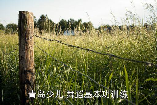 青岛少儿 舞蹈基本功训练