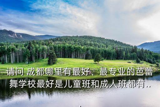 请问 成都哪里有最好、最专业的芭蕾舞学校最好是儿童班和成人班都有...