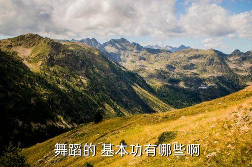  舞蹈的 基本功有哪些啊