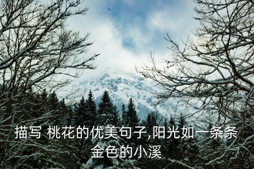 描写 桃花的优美句子,阳光如一条条金色的小溪