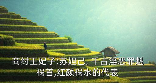 商纣王妃子:苏妲己, 千古淫恶罪魁祸首,红颜祸水的代表