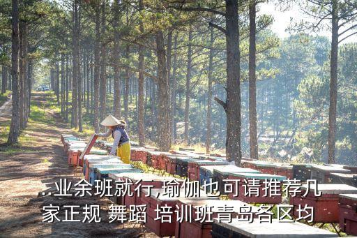 ...业余班就行,瑜伽也可请推荐几家正规 舞蹈 培训班青岛各区均