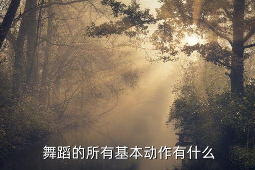  舞蹈的所有基本动作有什么