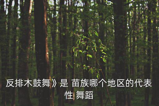 苗族有几个舞蹈学校