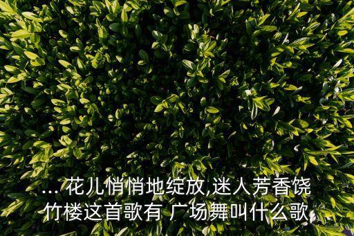 鸟儿对花儿说的舞蹈广场舞