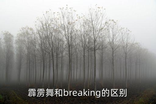 地板舞蹈的英文,lisa地板舞蹈视频