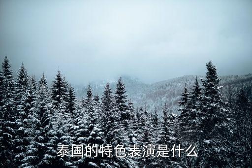 泰国的特色表演是什么