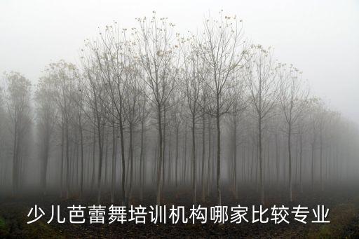 少儿芭蕾舞培训机构哪家比较专业