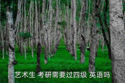 艺术生 考研需要过四级 英语吗