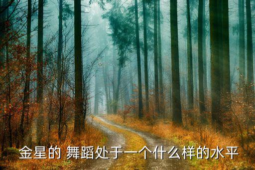  金星的 舞蹈处于一个什么样的水平