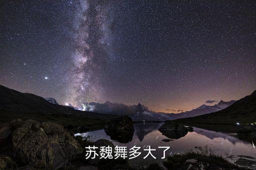 苏魏舞多大了