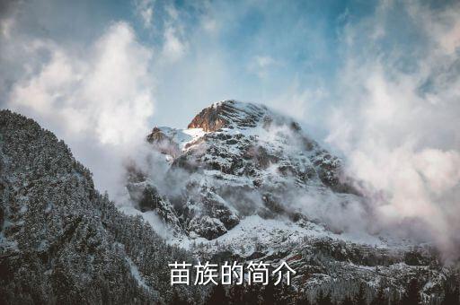  苗族的简介