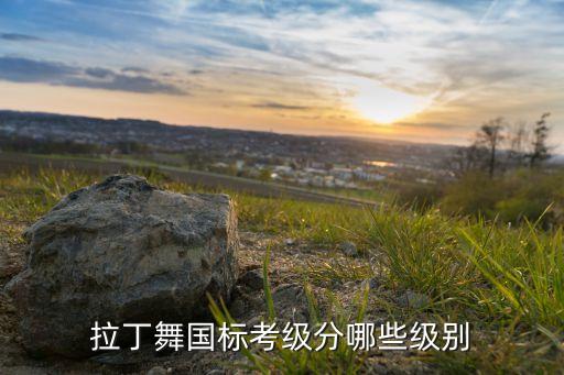 拉丁舞国标考级分哪些级别