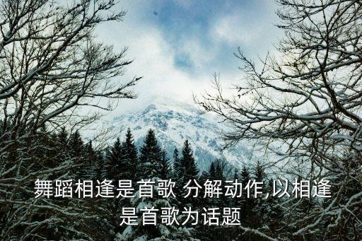  舞蹈相逢是首歌 分解动作,以相逢是首歌为话题