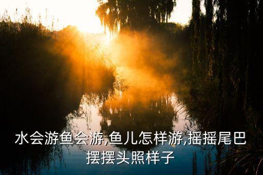 水会游鱼会游,鱼儿怎样游,摇摇尾巴摆摆头照样子