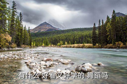 有什么 好看又好学的 舞蹈吗