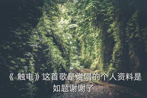 《 触电》这首歌是谁唱的个人资料是如题谢谢了