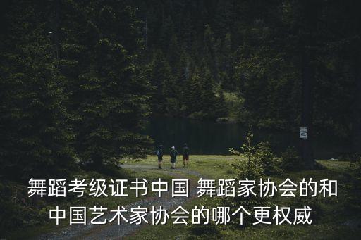 中国舞蹈联