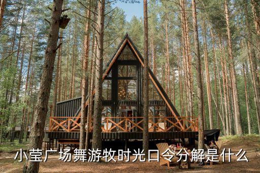 小莹广场舞游牧时光口令分解是什么