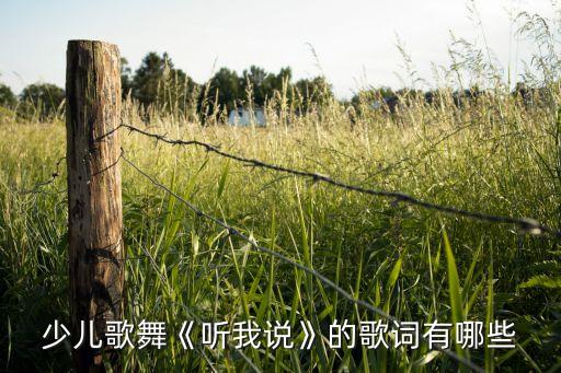 少儿歌舞《听我说》的歌词有哪些