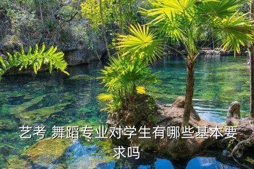  艺考 舞蹈专业对学生有哪些基本要求吗