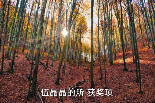 优秀少儿舞蹈获奖名单,第五届桃李杯舞蹈获奖名单