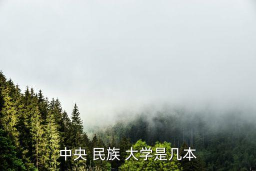 北京民族大学舞蹈系,湖北民族大学舞蹈系招生简章