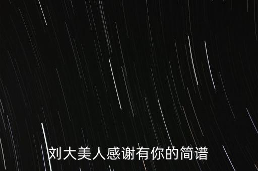 刘大美人感谢有你的简谱