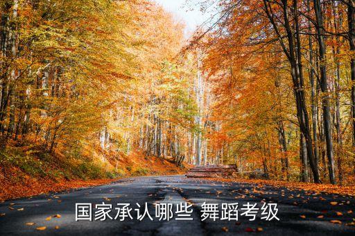 国家承认哪些 舞蹈考级