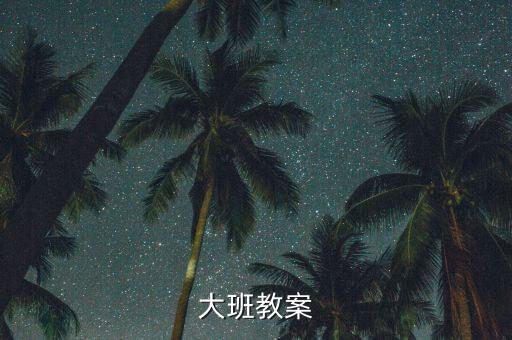 大班教案