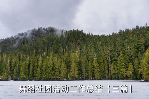 中国校园体育舞蹈网,体育舞蹈进校园的可行性分析