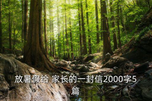 放暑假给 家长的一封信2000字5篇
