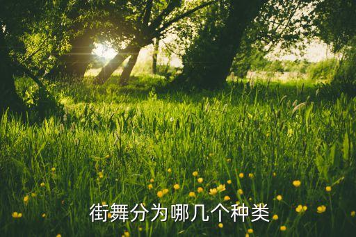  街舞分为哪几个种类