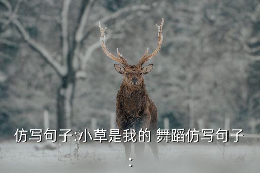 小蜻蛙舞蹈,小跳蛙舞蹈完整版