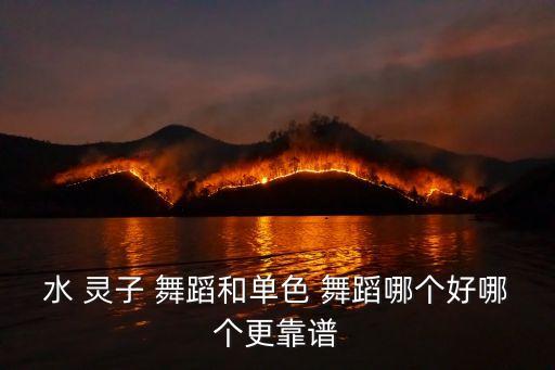 江西赣州灵子舞蹈学校,赣州小丫丫舞蹈学校怎么样