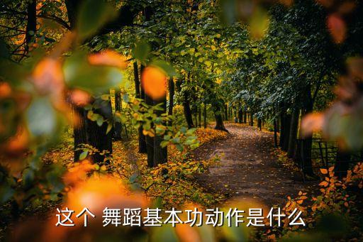 这个 舞蹈基本功动作是什么
