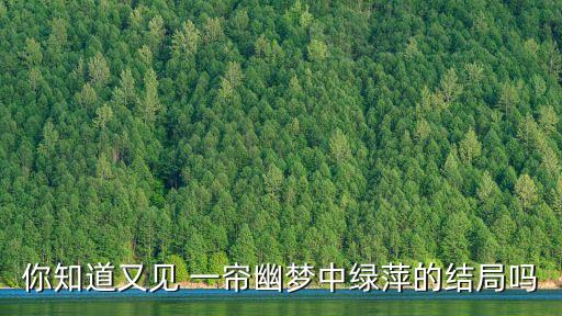 一帘幽梦张攀舞蹈学校,达州张攀舞蹈学校收费标准