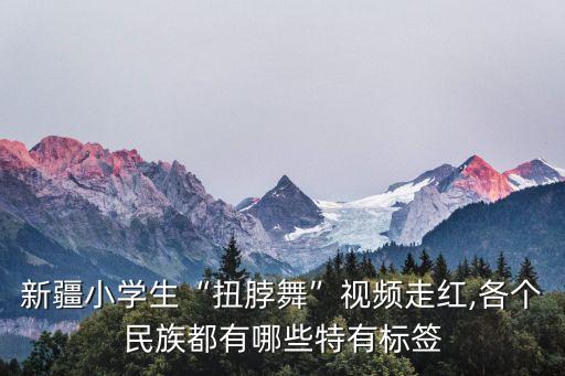 新疆小学生“扭脖舞”视频走红,各个民族都有哪些特有标签