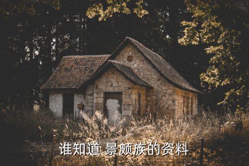 谁知道 景颇族的资料