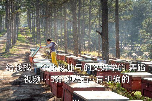 给我找一个比较帅气的又好学的 舞蹈 视频···5分钟左右··有明确的...