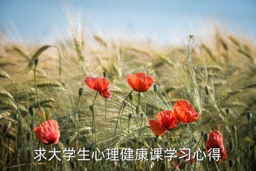 求大学生心理健康课学习心得