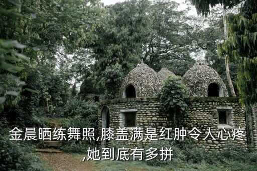 金晨晒练舞照,膝盖满是红肿令人心疼,她到底有多拼