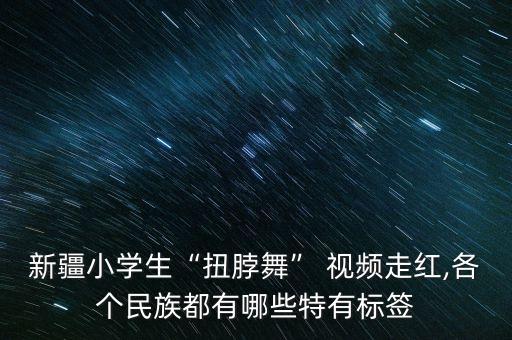 新疆小学生“扭脖舞” 视频走红,各个民族都有哪些特有标签