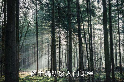 爵士舞初级入门课程