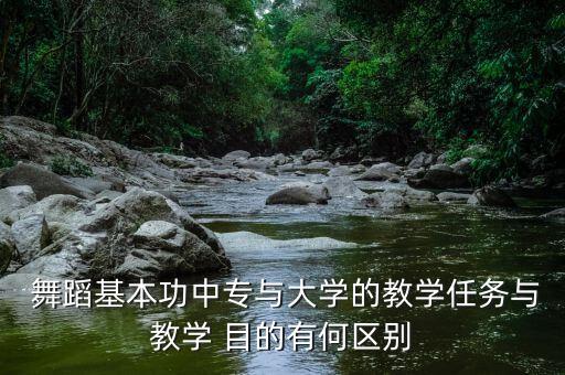 舞蹈大师课实践目的,舞蹈实践目的与意义