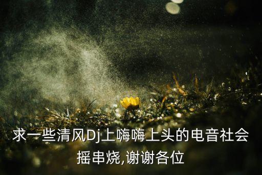 求一些清风Dj上嗨嗨上头的电音社会摇串烧,谢谢各位